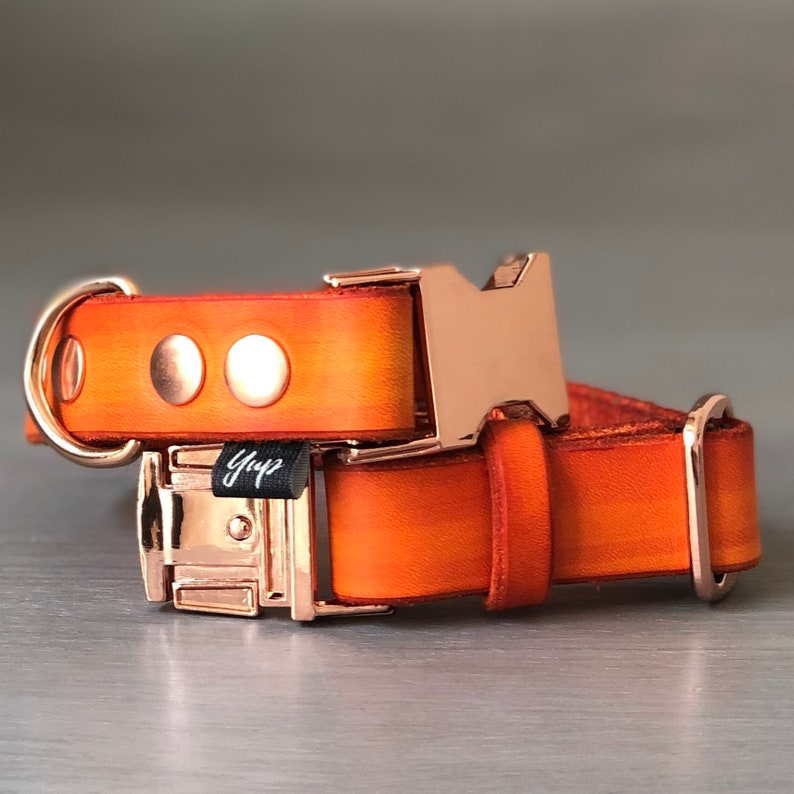 Quick Release Orange Leather Dog Collar with Rose Gold Plated Etsy