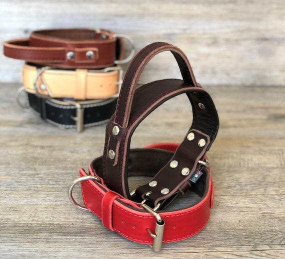 leather collar with handle