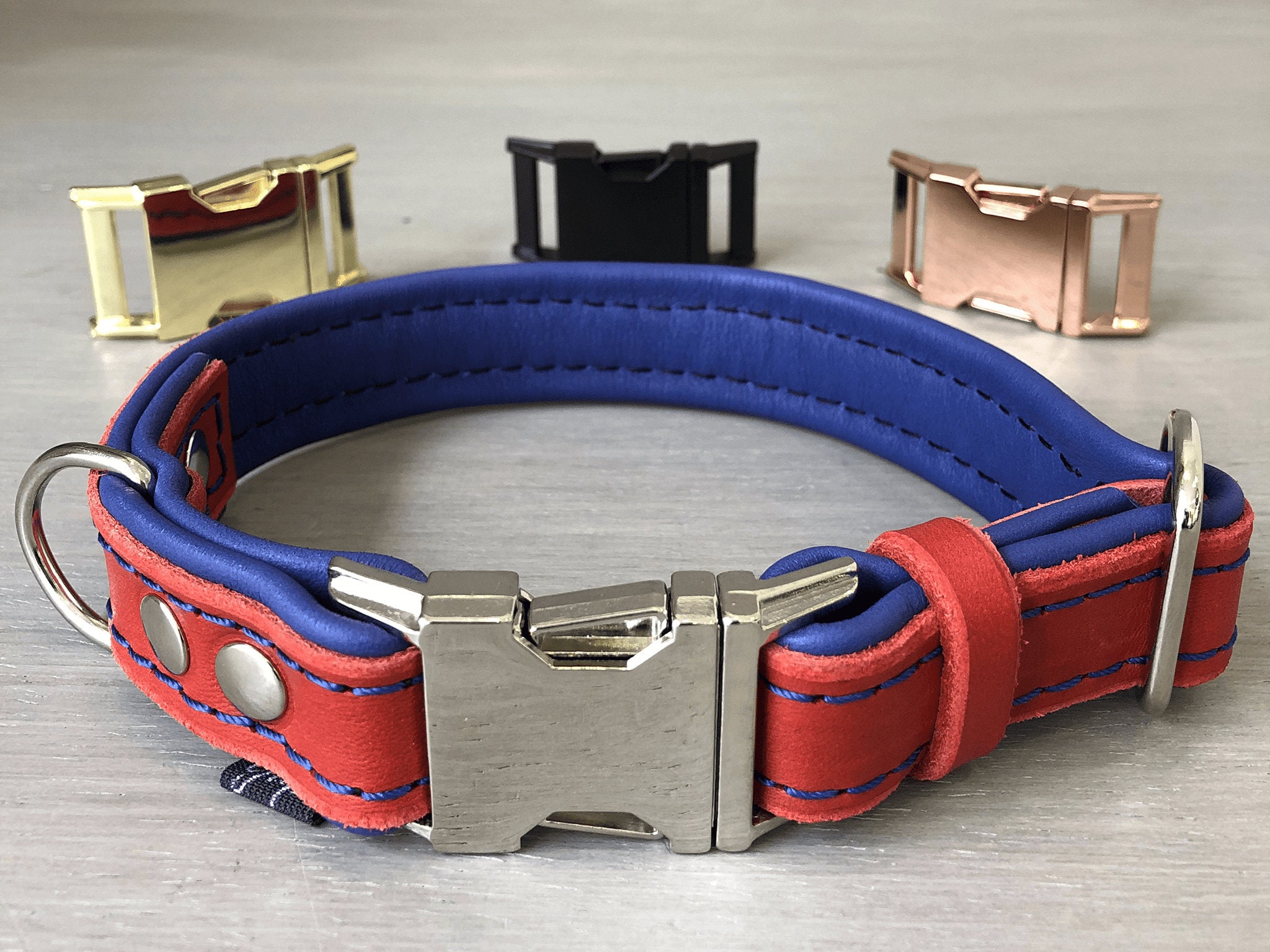 Padded Leather Quick Release Dog Collar in Blue and Red with Silver