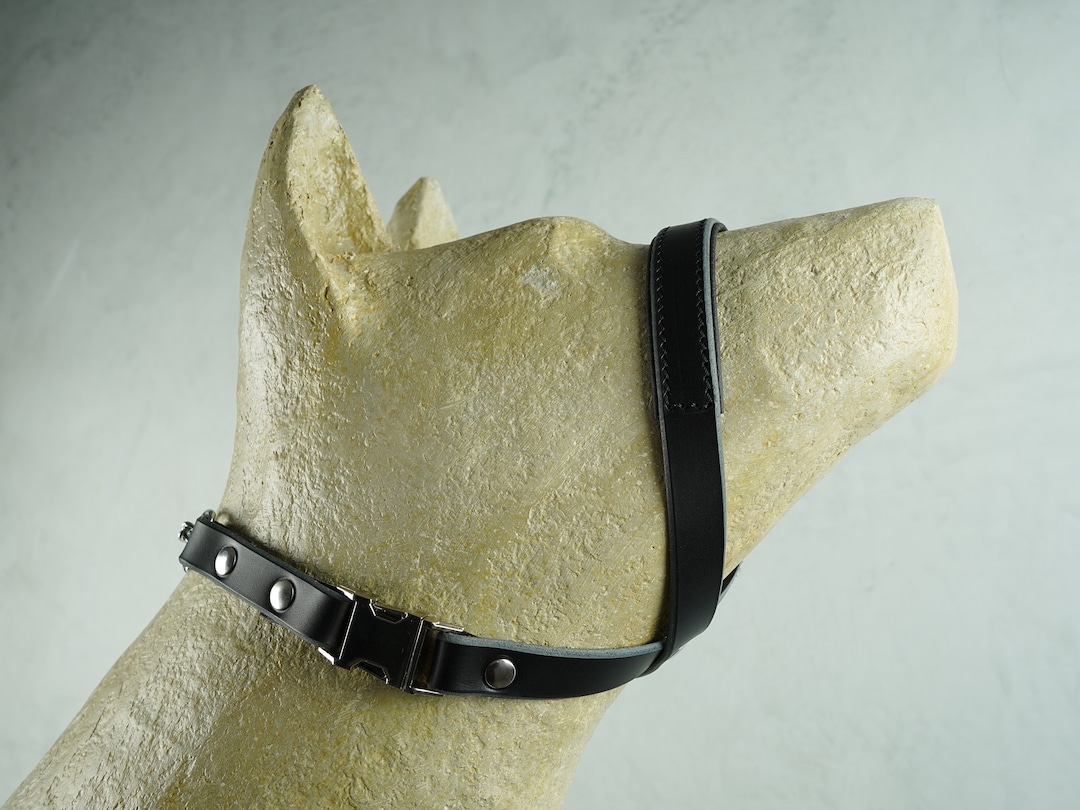 Black Padded Leather Dog Gentle Leader With Martingale Chain, Dog Head