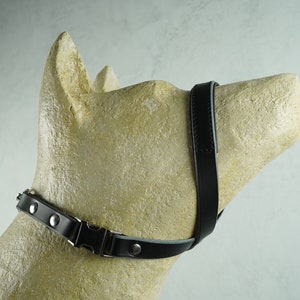 Diy dog head halter sales