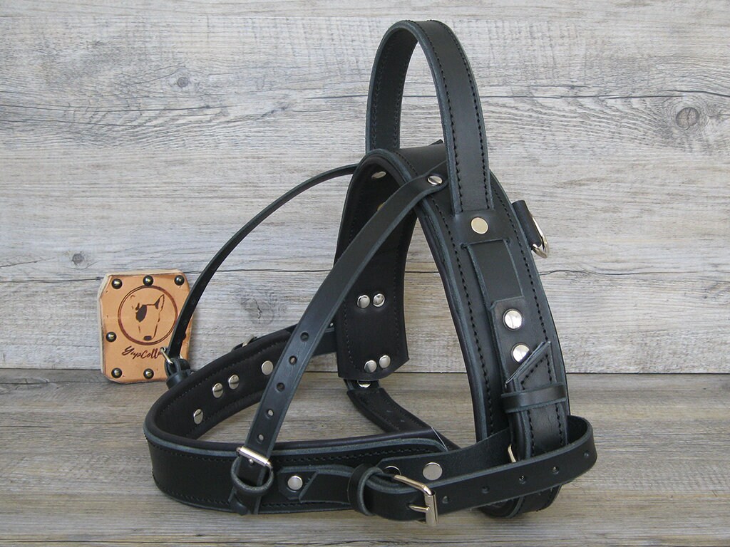Service Dog Harness Padded with Soft Leather Ideal for Etsy