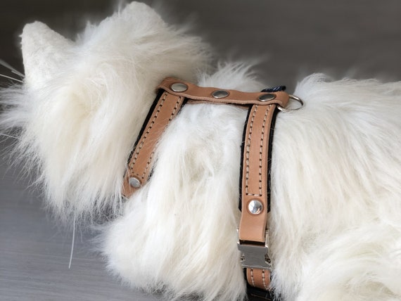 Adjustable cat harness sales