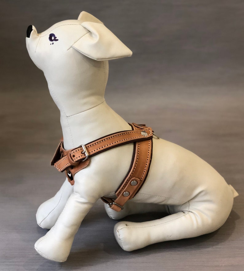 Tan Leather Y Front Dog Harness Fully Adjustable for Small and Etsy