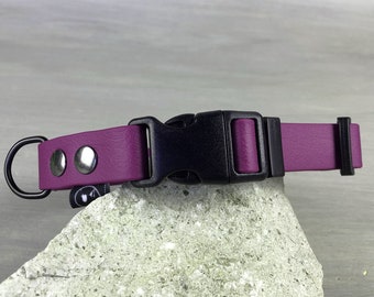 Dog Collar in Purple Waterproof Coated Webbing, Antibacteric PVC Collar, Antifreeze Buckle, Idea for Medium and Large Sizes, Colorful Collar