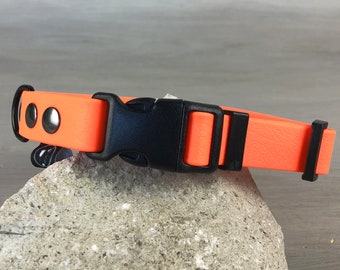 Dog Collar in Orange Waterproof Coated Webbing, Antibacteric PVC Collar, Antifreeze Buckle, Idea for Medium and Large Sizes, Colorful Collar