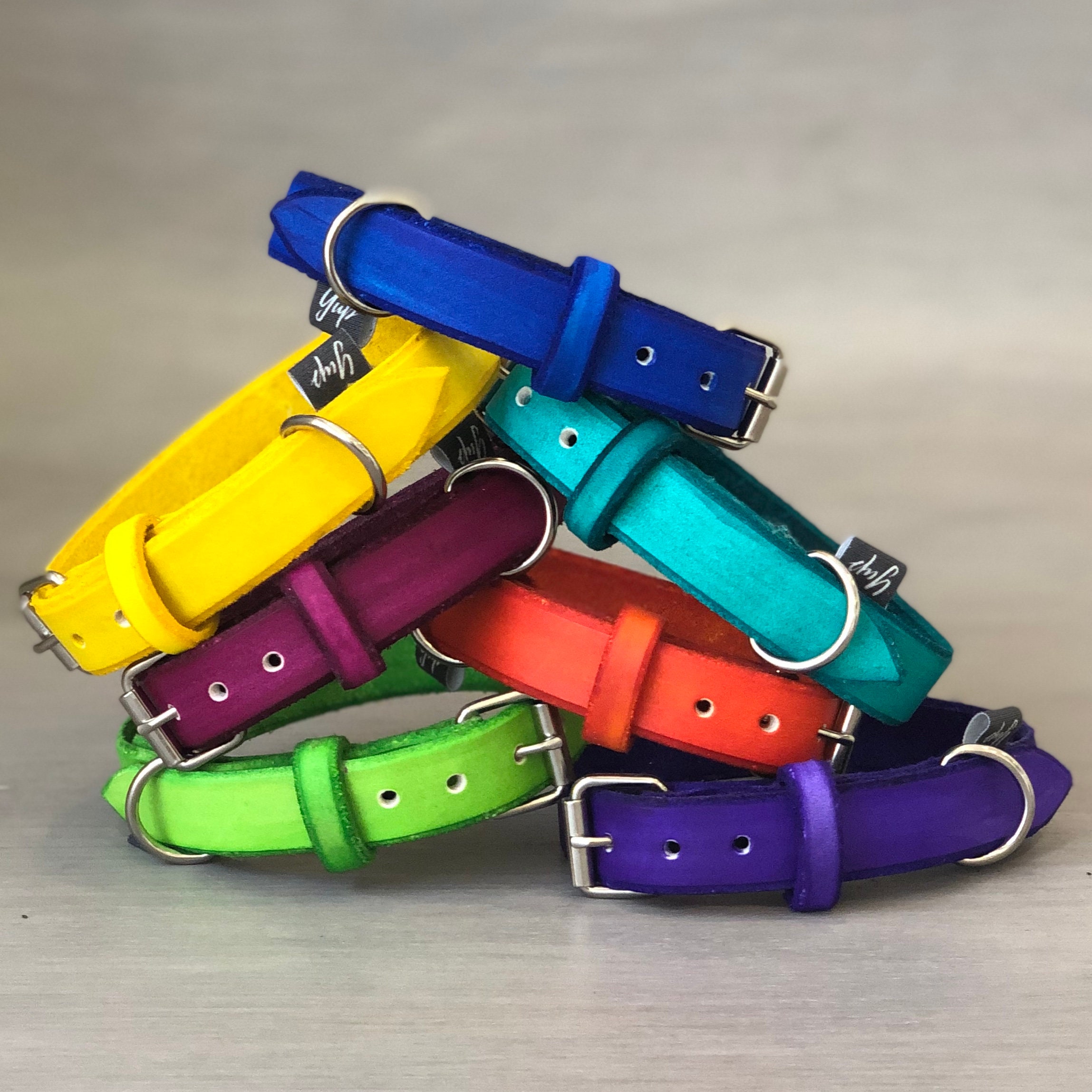 Orange Leather Dog Collar Available for All Sizes and Breeds Etsy