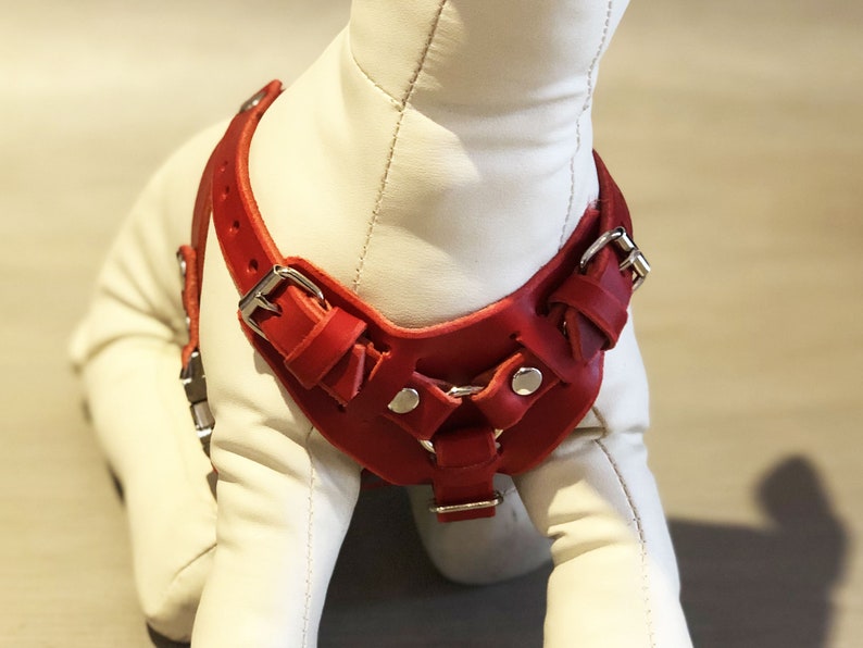 Red Leather Y Front Dog Harness Fully Adjustable for Small and Etsy