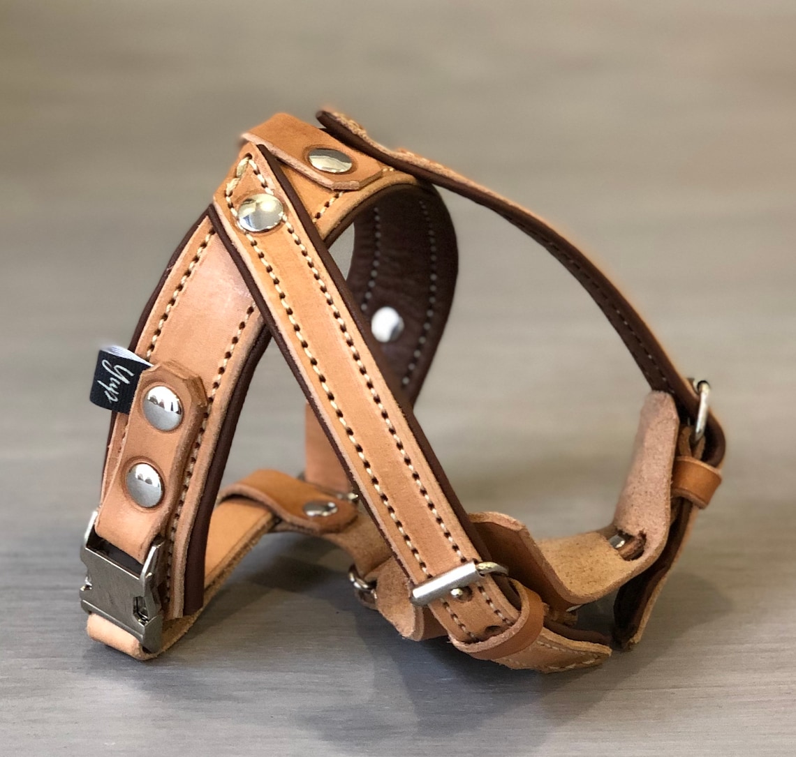 hundegeschirr leder kleine hunde