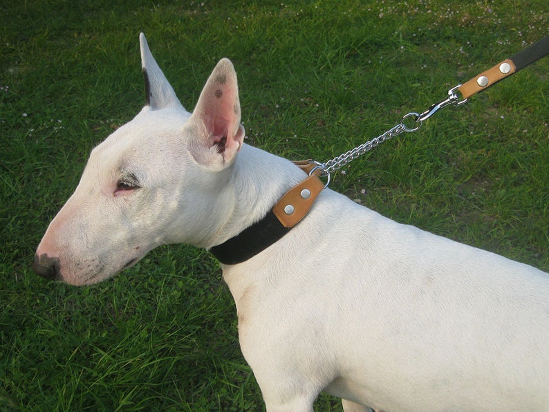 Martingale Dog Collar Half Choke Dog Collar Black Leather Etsy