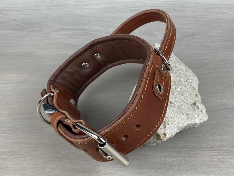 Padded Leather Dog Collar With Handle Service Dog Collar Etsy