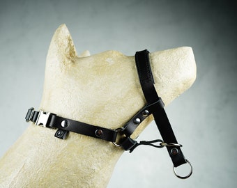 dog face harness
