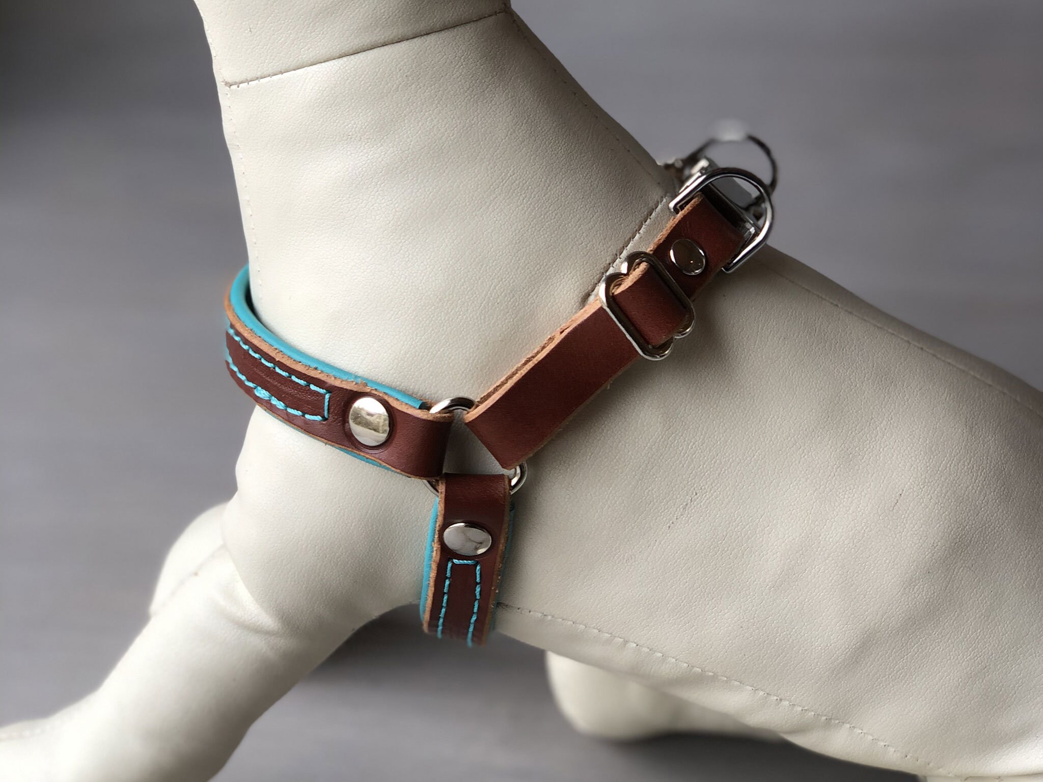 Step in Dog Harness in Papaya and Teal Leather Soft Padded Etsy