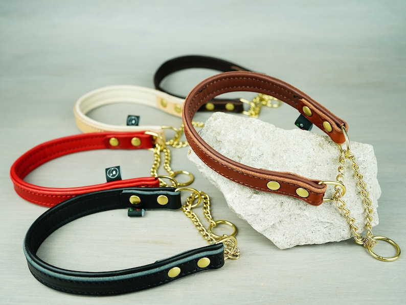 Papaya Padded Leather Martingale Dog Collar Solid Brass Etsy