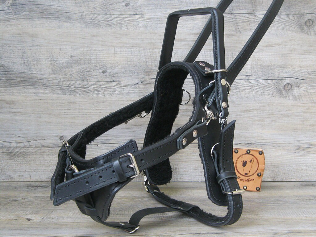 Guide Dog Harness with Y Front for Guide and Pulling, Full Adjustable