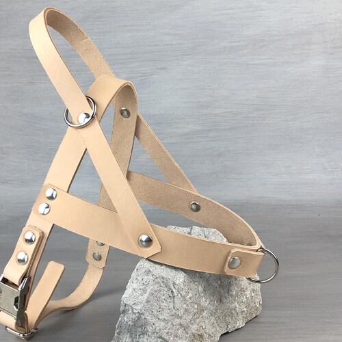 No Pull Dog Harness With Front and Back Leash Attachment Tan Etsy