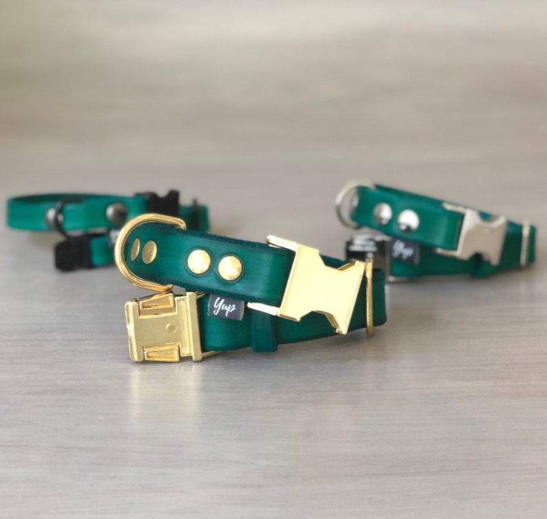 Emerald Green Leather Dog Collar With Brass Silver or Black Etsy