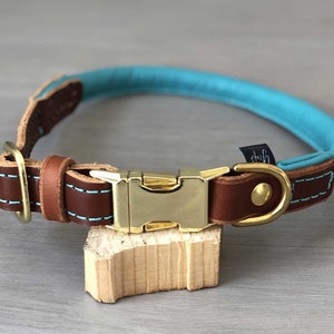 Rolled Leather Quick Release Dog Collar, Solid Brass Hardware, Teal and Papaya Leather Dog Collar, Optional FREE Custom Engraved Buckle