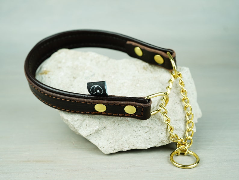 Papaya Padded Leather Martingale Dog Collar Solid Brass Etsy