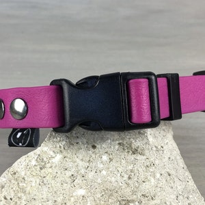 Dog Collar in Lilac Waterproof Coated Webbing, Antibacteric PVC Collar, Antifreeze Buckle, Idea for Medium and Large Sizes, Colorful Collar
