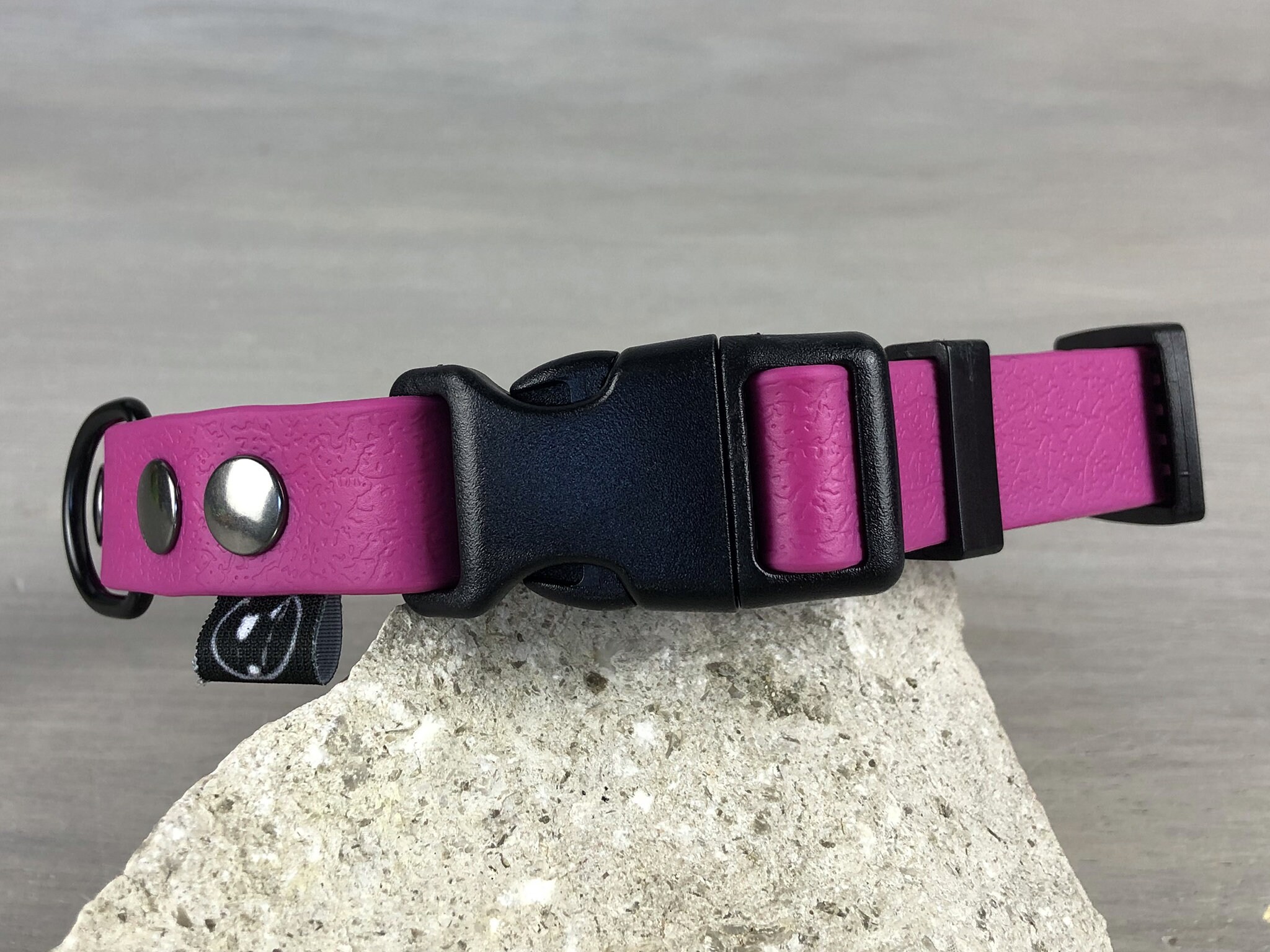 plastic coated dog collars