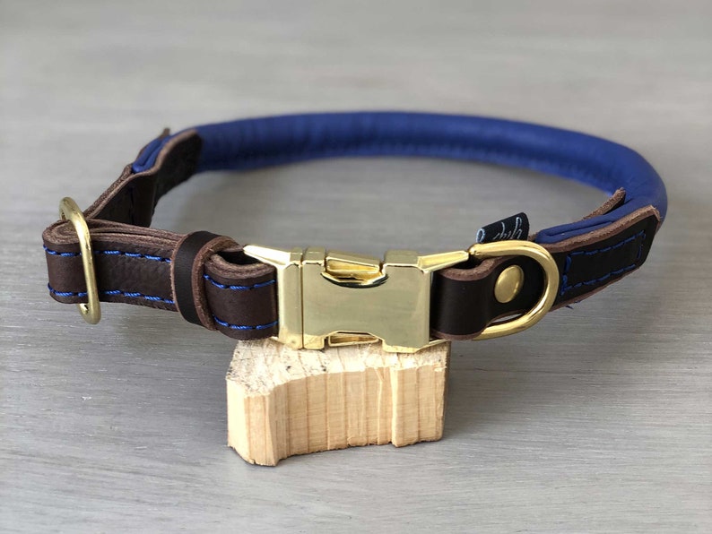 Rolled Leather Quick Release Dog Collar Solid Brass Hardware Etsy