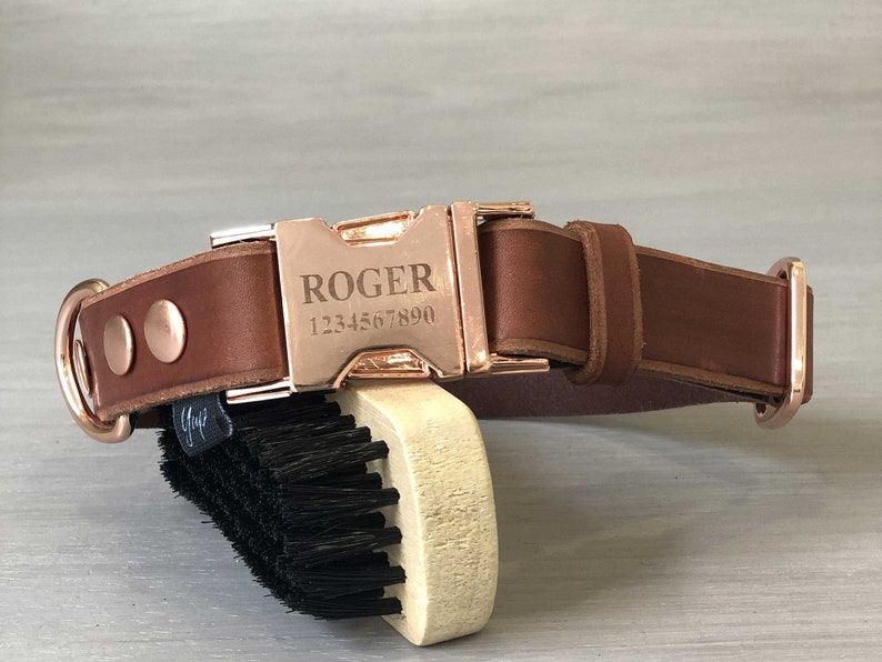Engraved Buckle Leather Dog Collar 5 Leather Colors Quick Etsy