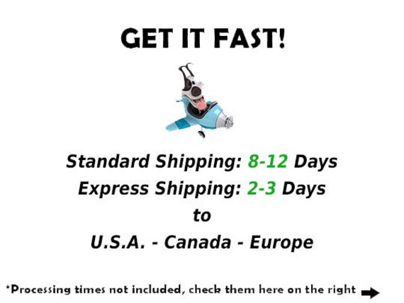 rolled leather dog collar quick release