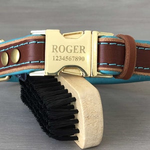 Padded Leather Quick Release Dog Collar in Papaya and Teal with Silver, Brass Black or Rose Gold Plated Hardware, Custom Engraved Buckle