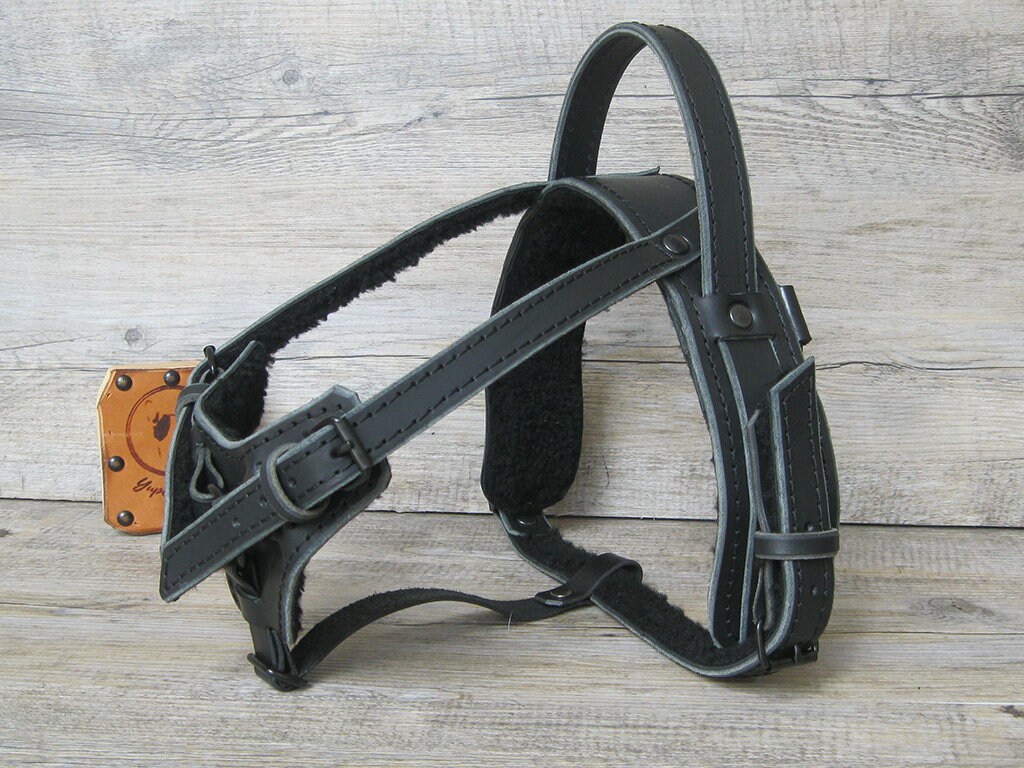 Leather Service Dog Y Front Harness, Black Hardware, Ideal for Bracing and Pulling, Full