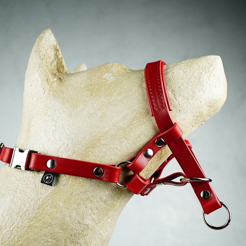 perfect pace halter