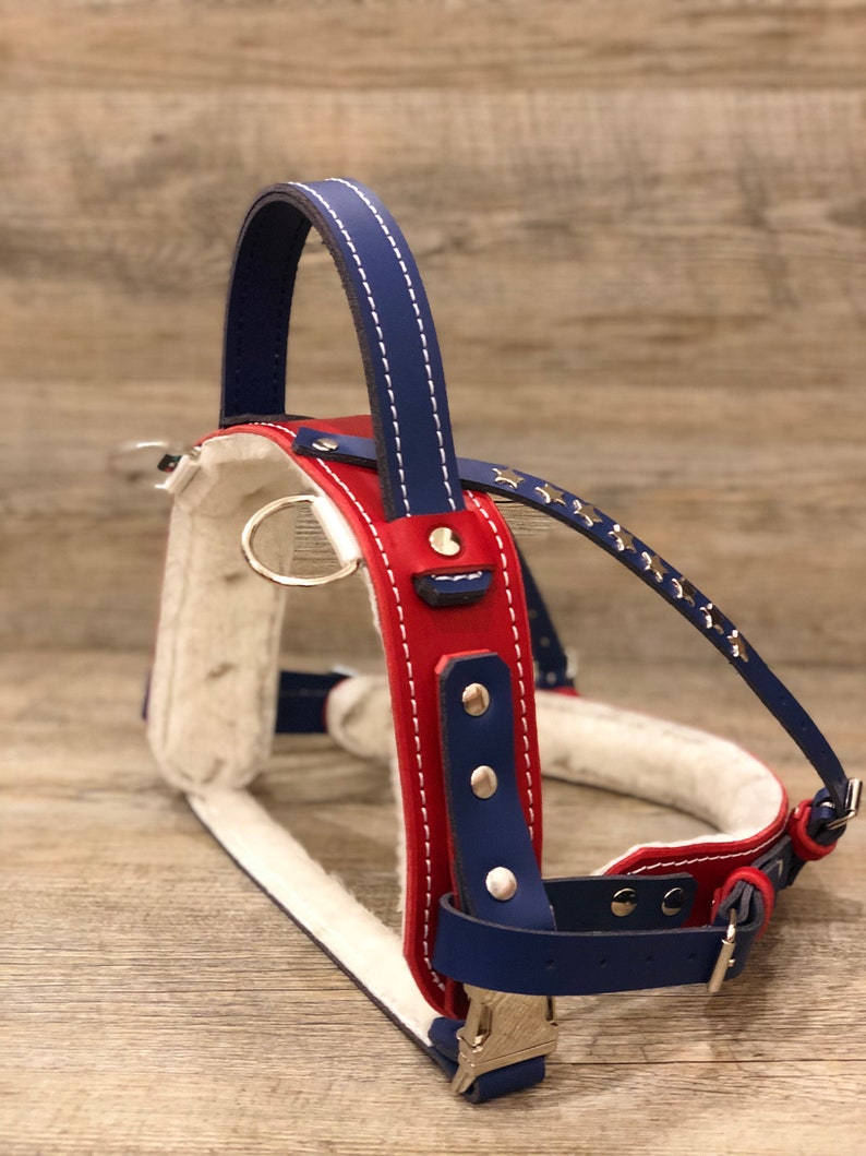 Leather Service Dog Harness Stars and Stripes Edition Full Etsy