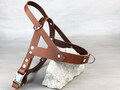 No Pull Dog Harness with Front and Back Leash Attachment, Papaya Leather, Adjustable Harness for All Sizes, FREE Id Tag, Made in Italy