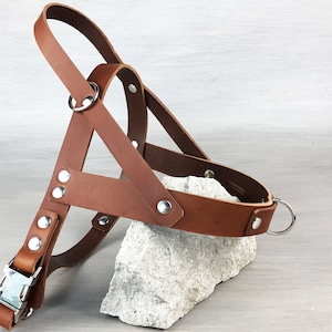 No Pull Dog Harness with Front and Back Leash Attachment, Papaya Leather, Adjustable Harness for All Sizes, FREE Id Tag, Made in Italy