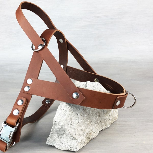 No Pull Dog Harness with Front and Back Leash Attachment, Papaya Leather, Adjustable Harness for All Sizes, FREE Id Tag, Made in Italy