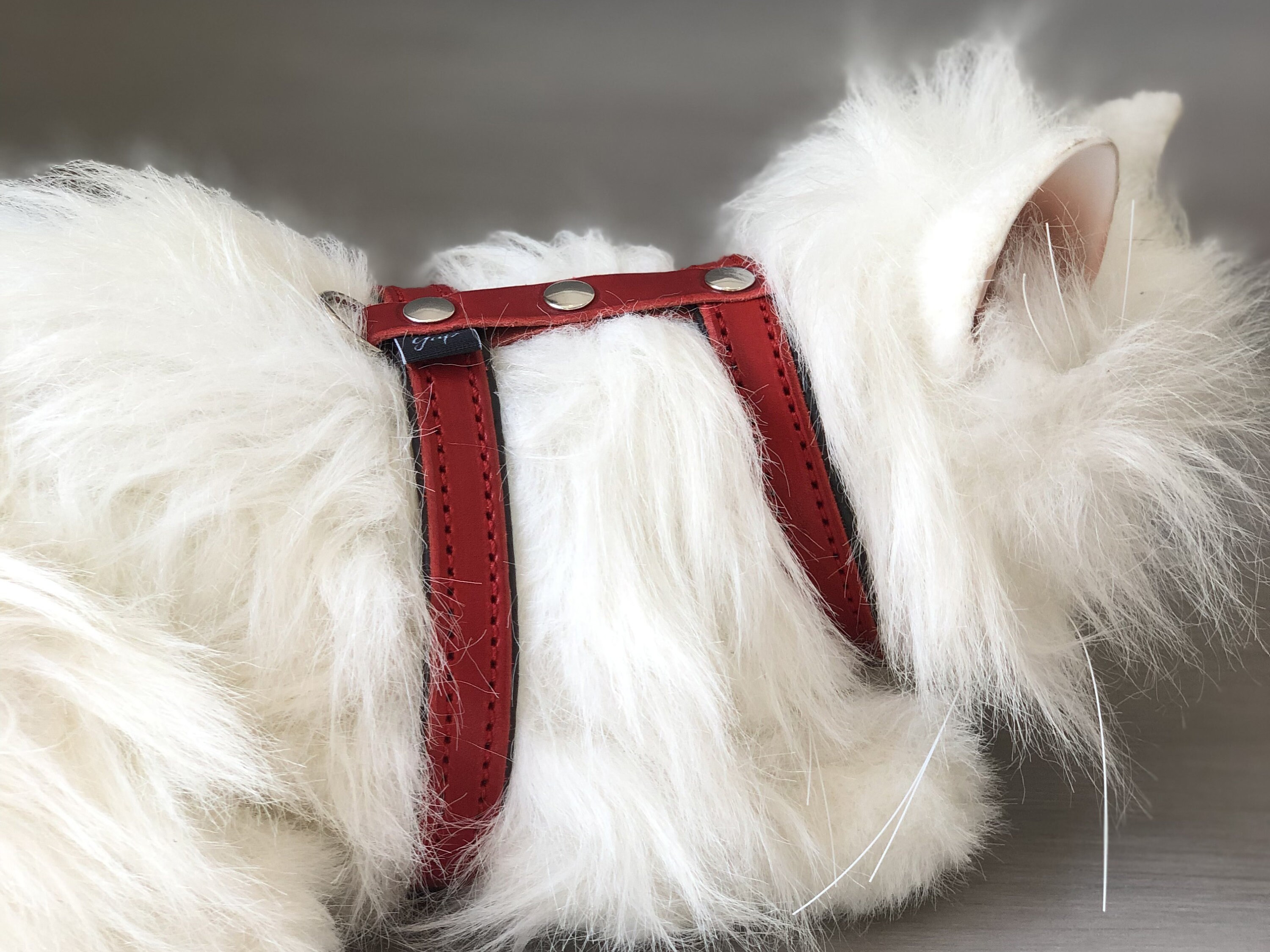 Cat Harness in Red Leather Soft Padded Cat Harness Etsy