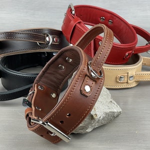 Padded Leather Dog Collar with Handle, Dog Collar, Handmade Dog collar, Colorful Leather Collar, Strong Comfortable Dog Collar