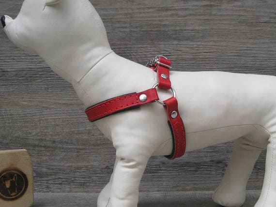 No pull step in dog harness sales