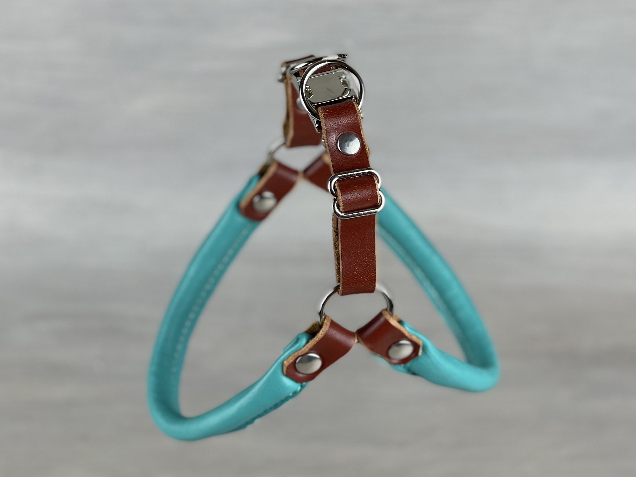 Rolled Leather Step in Dog Harness in Papaya and Teal Rolled Etsy