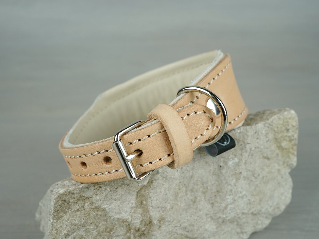 Padded Leather Tapered Dog Collar, Tan Color, Wide Leather Dog Collar