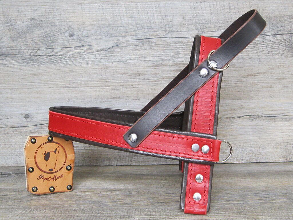Red Dog Harness, Leather Harness, Adjustable Harness for Small and