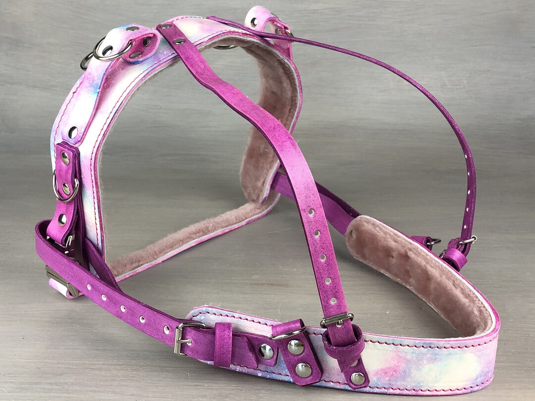 Fully Custom Leather Dog Harness, Adjustable Dog Harness, Custom Working Dog Harness, Mobility