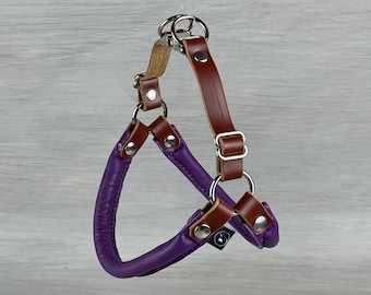 Rolled Leather Step In Dog Harness in Purple and Papaya, Rolled Leather Harness, Adjustable Harness for Small Dogs, No Pull Dog Harness