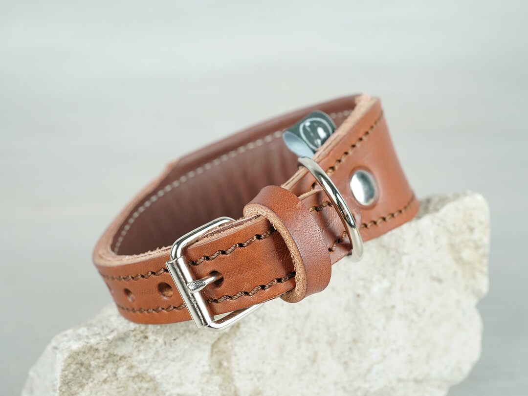 Padded Leather Tapered Dog Collar, Papaya Color, Wide Leather Dog