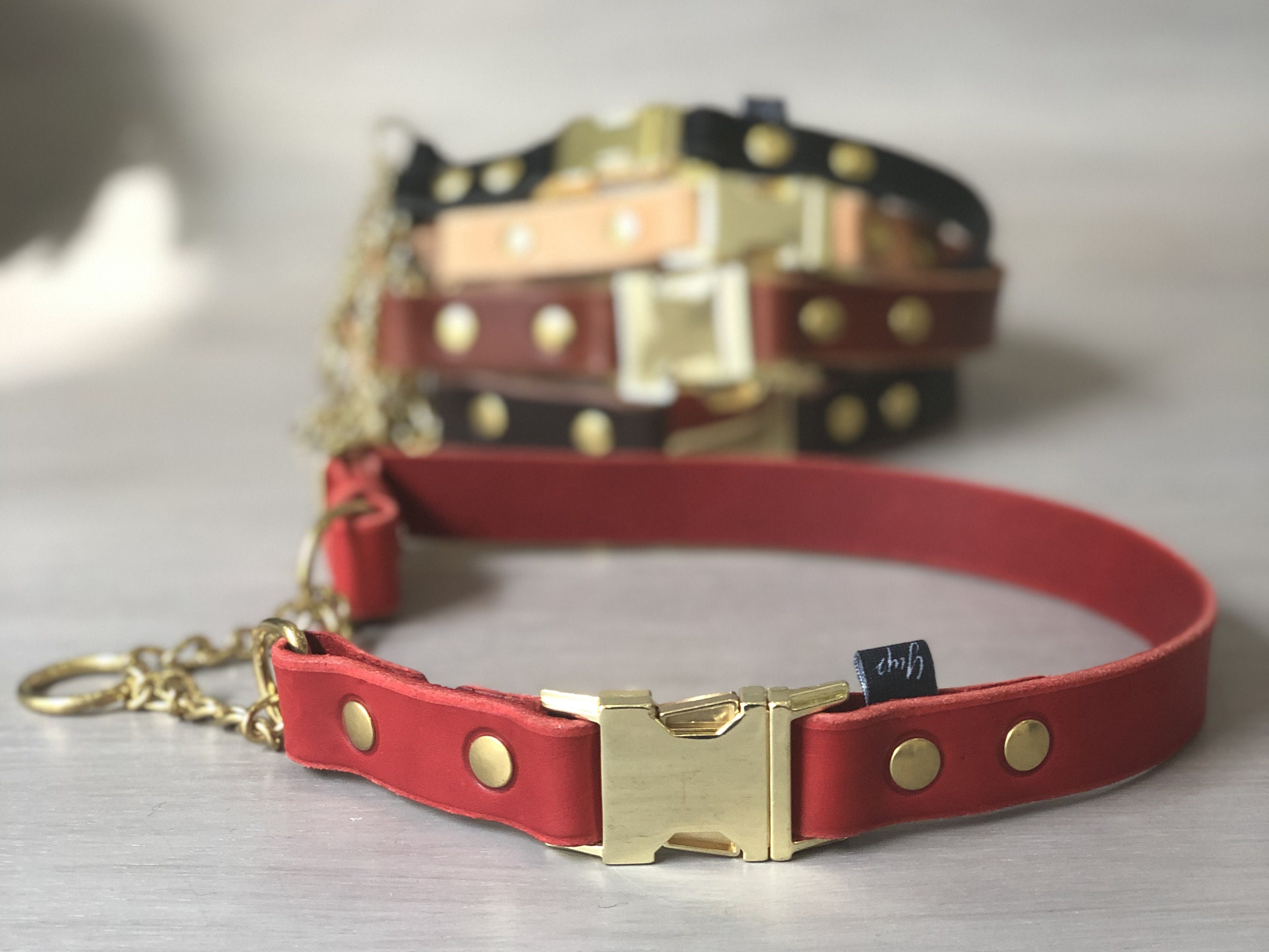 Adjustable Leather Martingale Dog Collar with Quick Release Buckle, Red