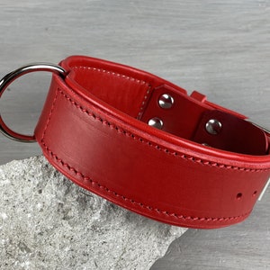 Padded Red Leather Dog Collar with Central Leash Attachment Ideal for Medium and Large Breeds, Optional FREE Id Tag, Personalized Dog Collar