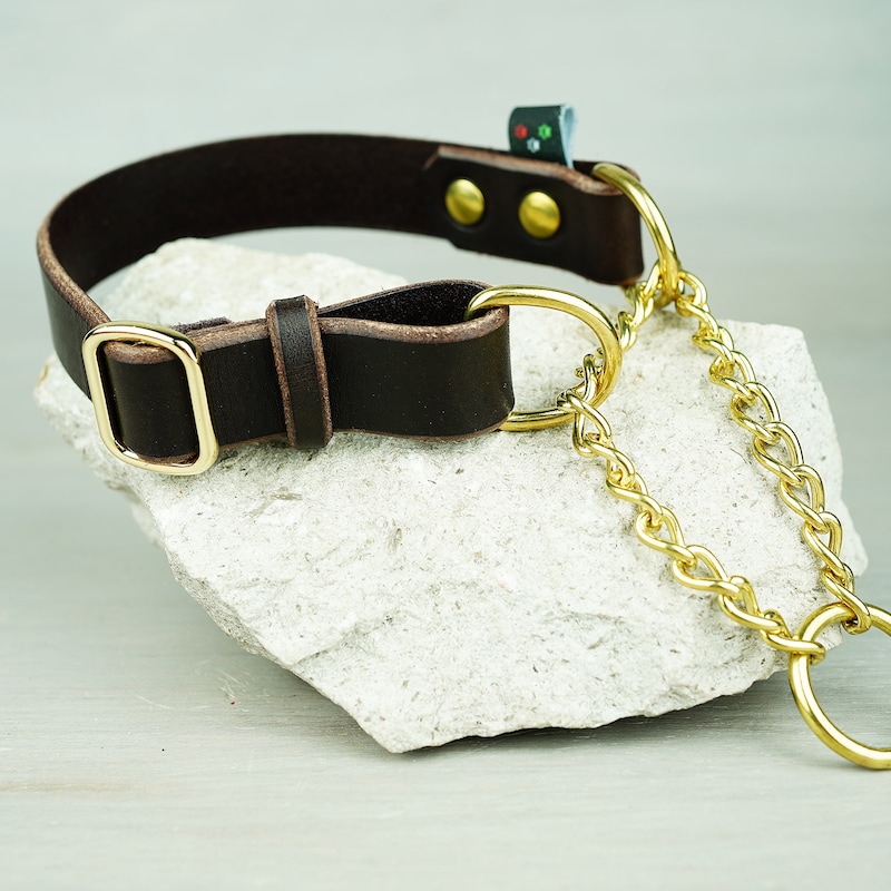 Brass Dog Collar - Etsy