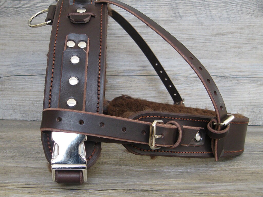 Service Dog Harness for Bracing, Pulling and Mobility Support with