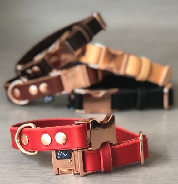 Quick Release Dog Collar In Vintage Brown Leather And Black Metal Hardware Colorful Handmade S Dogs - Quick Release Leather Dog Collar Quick Release Dog Collar In Vintage Brown Leather And Black Metal Hardware Colorful Handmade S Dogs - Quick Release Leather Dog Collar