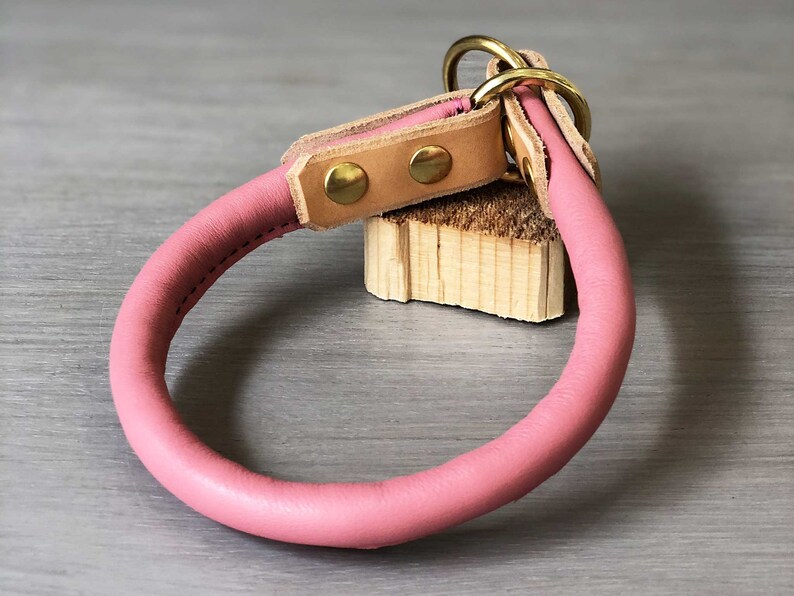 Rolled Leather Slip on Dog Collar Brown Rolled Leather Dog Etsy